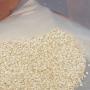 hulled and natural white sesame seed 