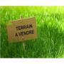 vente de terrain agricole (10 ha)