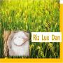 le riz local de luxe de danané riz luxe dan