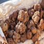 truffes pour export de la tunisie