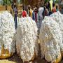 cotton waste- lint cleaner produced in benin