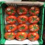 tomates calibre 47-57/57-67/67-82/82-102 