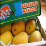 mangues fraiches alphonso -chutney de mangues