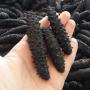 turkish sea cucumber dried holothuria tubulosa