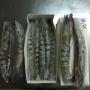 vente poissons filets,  entiers,  crevettes monodon