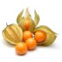 physalis