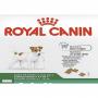 croquettes royal canin