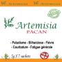  artemisia afra et annua en destockage