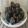 truffe noire  ( tuber eastivum