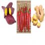 vente de paprika,  gingembre ,  patate chaire jaune