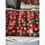 fraises fraiches