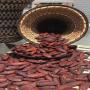 looking for buyers of tonka beans from venezuela 