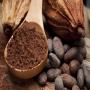 exportation de cacao et café