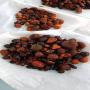 clean cow ox gallstones (calculs biliaires)