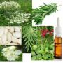 huiles essentielles végétales /essential oil