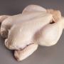 poulet  halal