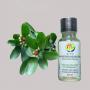 huiles essentielles bio  grossiste huiles