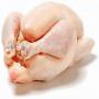  poulet de chair de 45 jours