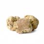 vend truffe blanche 