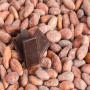 cacao en stock 