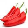 fresh chilli pepper