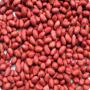 raw peanuts ( red runner )