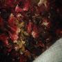 hibiscus  ou bissape