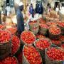 créez une unité de production de tomate en poudre