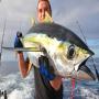 besoin de fournisseur de thon jaune (yellowfin)