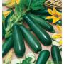 producteur de courgettes vertes