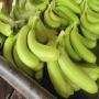 bonnes qualité bananes et ananas de cote d'ivoie