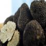 fresh season truffles for sale