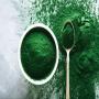 spiruline d'excellente qualité