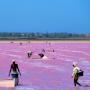 vente de sel du lac rose sénégal 