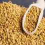 fenugreek supplier 