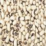 cherche acheteur haricot black eyed beans