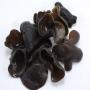 recherche distributeurs de champignons noirs