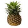 ananas bio togo