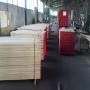 european beech steamed lumber / square/edged and 