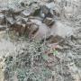 vente mine basalte 5 hectares