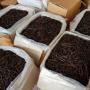 sell planifolia vanilla beans in bulk