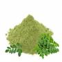 poudre de moringa/ vente en gros.