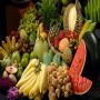 exporting the fruits,  vegetables,  roots