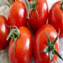 recherche de partenariat pour la vente de tomate