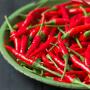 piments sec ou frais en vente