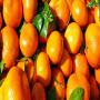 mandarines 