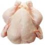 poulet congelee hallal