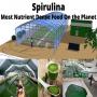 construction d'une ferme de spiruline