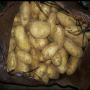 looking to find buyers of cyprus potatoes