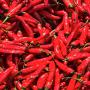 vente de piments long biologiques